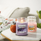 Yankee Candle - Floral Enchantment 538g | Begränsad upplaga